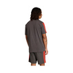 Camiseta Audi Revolut F1 DNA 2026 gris
