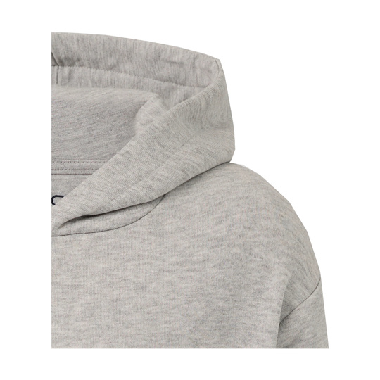 Sudadera con capucha para niños Relaxed Red Bull Racing 2026 gris