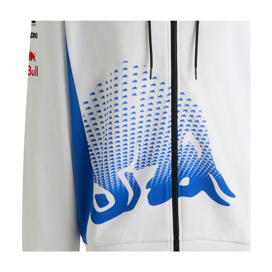 2025 Visa Cash App Racing Bulls Mens Team Hoodie