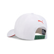 Formula 1 Mexico GP Hat