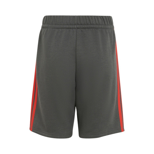 Pantalones cortos infantil Audi Revolut F1 DNA 2026